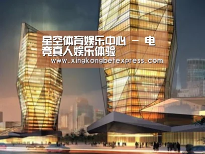 案例展示三